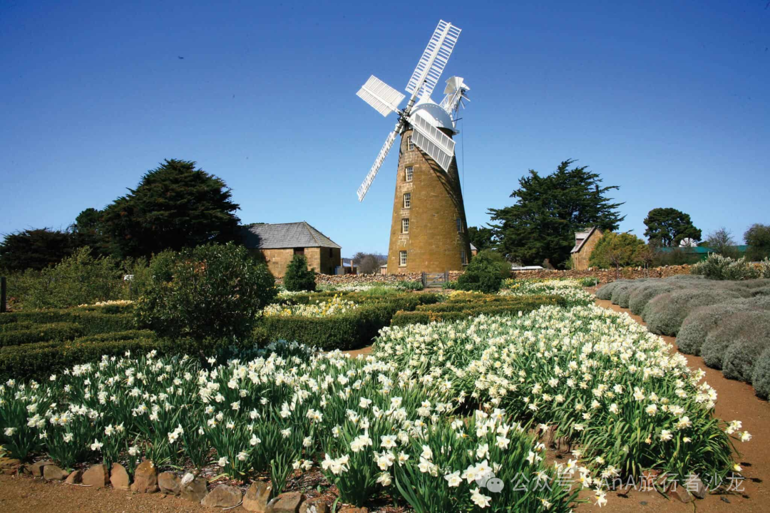 Historic Oatlands windmill