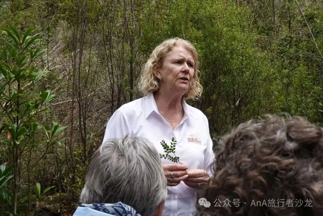 Local guide in Tasmanian forest