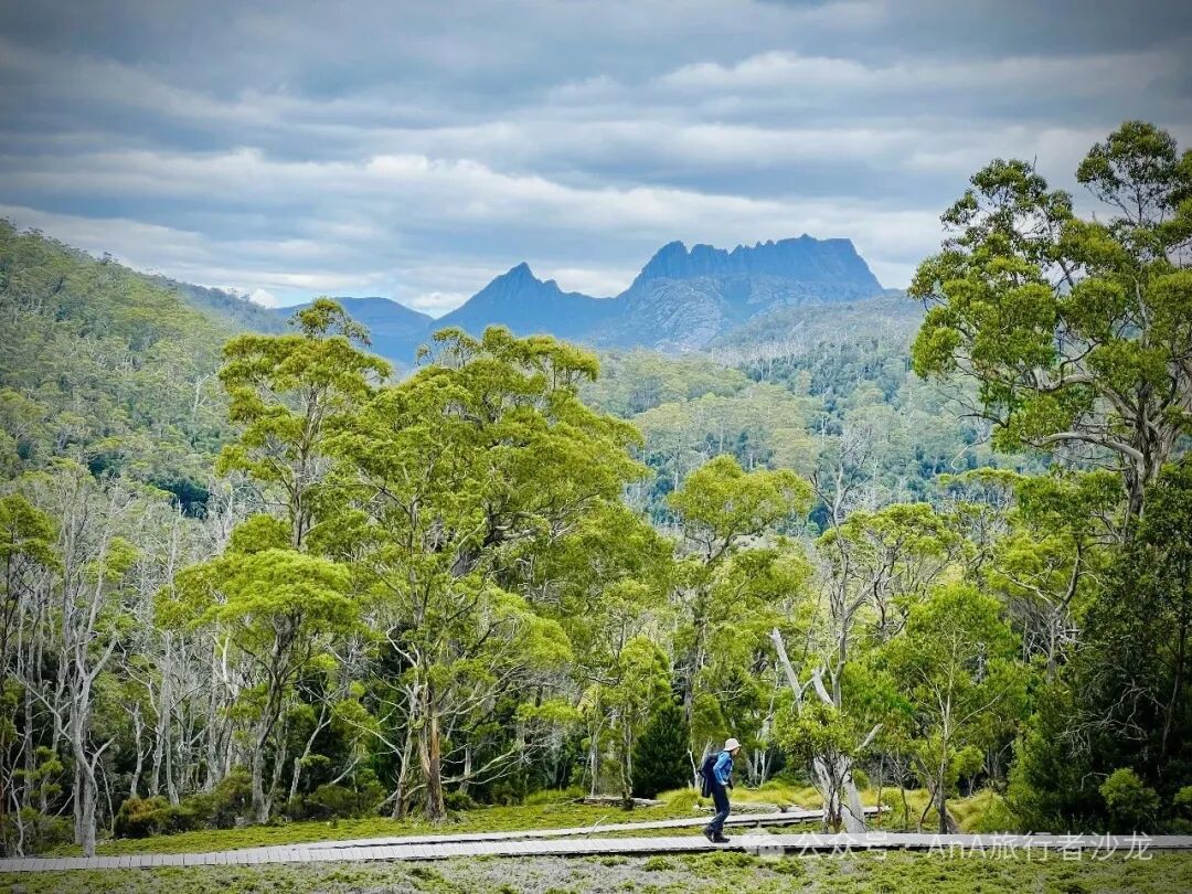 Cradle Mountain landscape